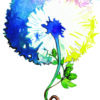 gluppa disegno